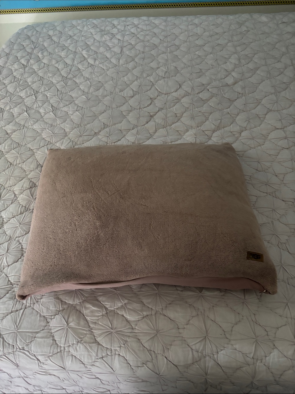 Cozy Plush Decorative Pillow Cover in Blush Pink